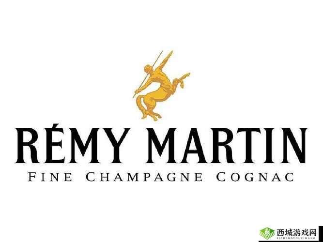 人马畜禽 company limited：探索创新发展之路