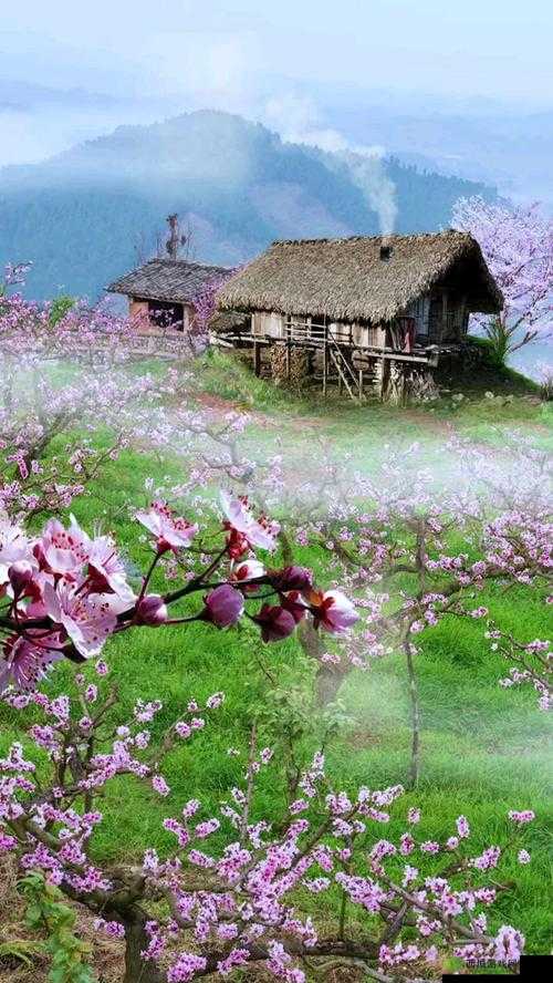 桃花源洞口：芳草萋萋景致美