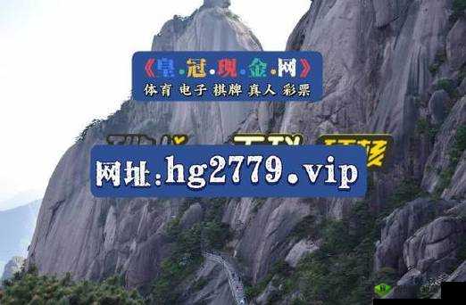 未满十八岁如何开通 PAYPAL：解决方法