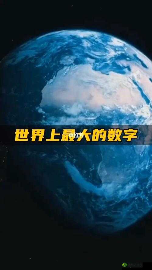 成品网站源码1288隐藏通道:神秘的数字世界