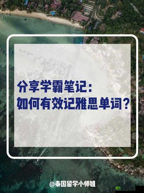 在学霸的大紫根上背单词,效率超高
