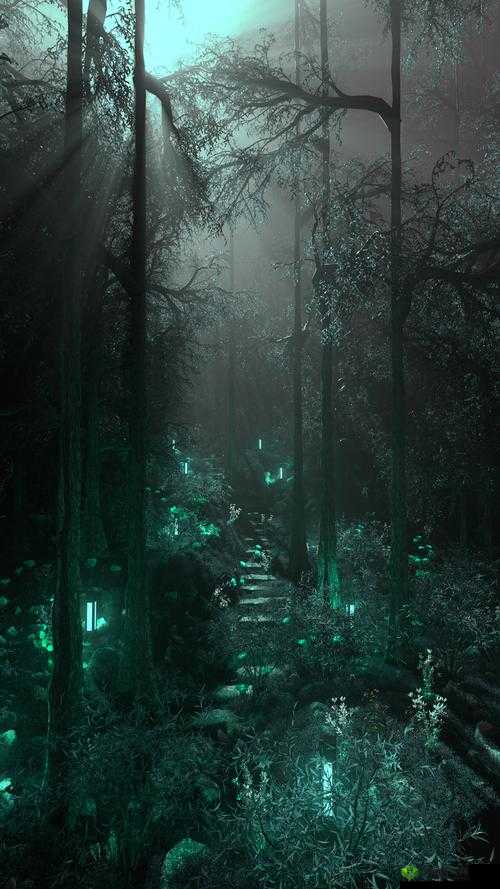 老人与森林:一场神秘的交易