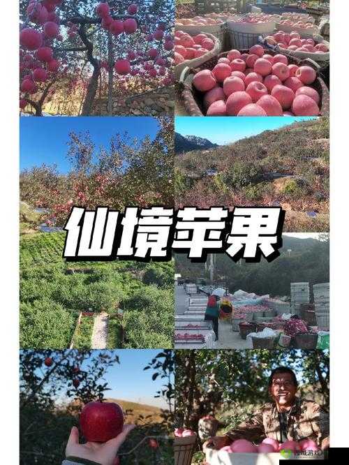 巨无霸水蜜桃水帘洞:探寻神秘的水果仙境