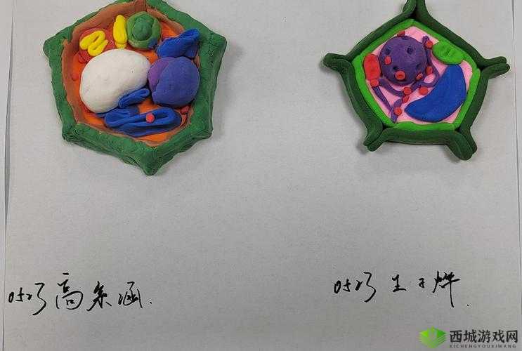 我成了生物课的教具篇 1 :奇妙的课堂体验