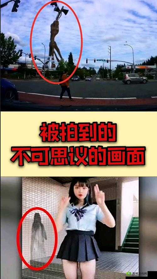 神秘的之力:不思议白球的无限可能应用解析