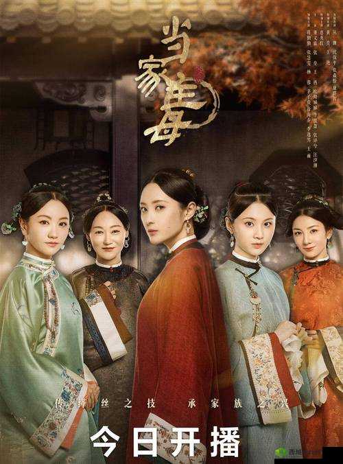 当家主母 Hgl:一部精彩的剧作