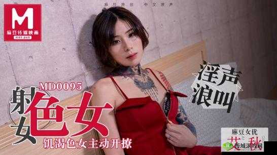 艾秋麻将馆的处罚 md0006：相关情况说明