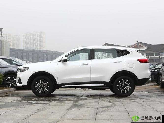 好看的suv 视频大全图片高清版:精彩呈现