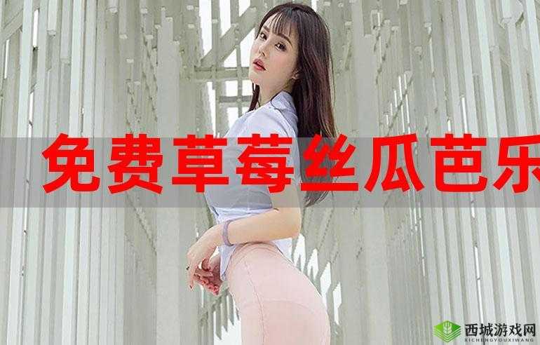 麻豆香蕉草莓丝瓜 APP 无限：畅享精彩内容