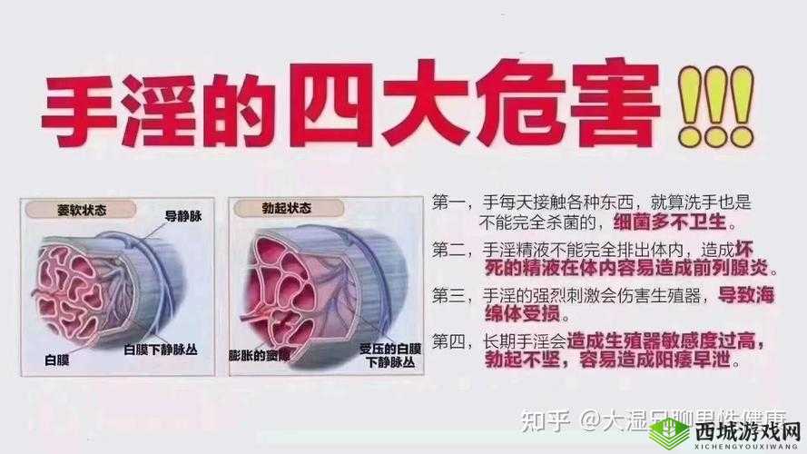 用手过度的海绵体受损怎么恢复:科学修复方法