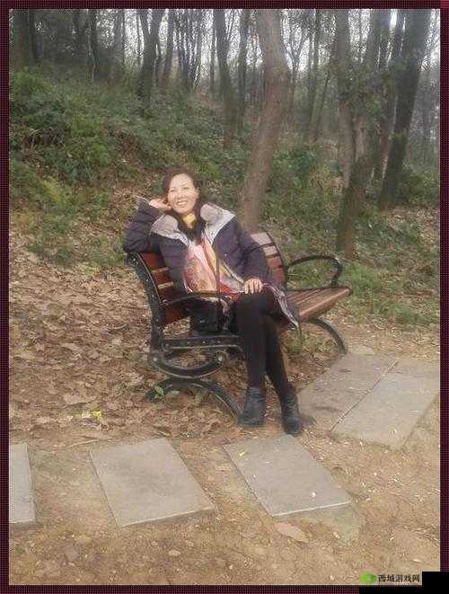 老人做交易森林 300：背后的故事