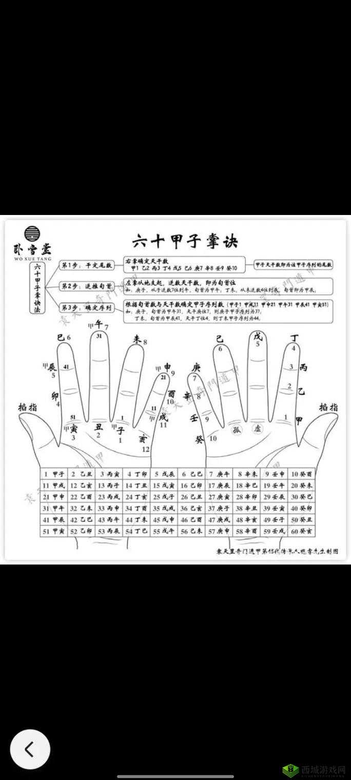 大掌门新手操作全攻略:快速上手秘籍