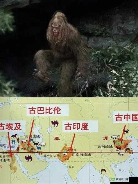 无人区乱码一二三四是什么:探索神秘之地