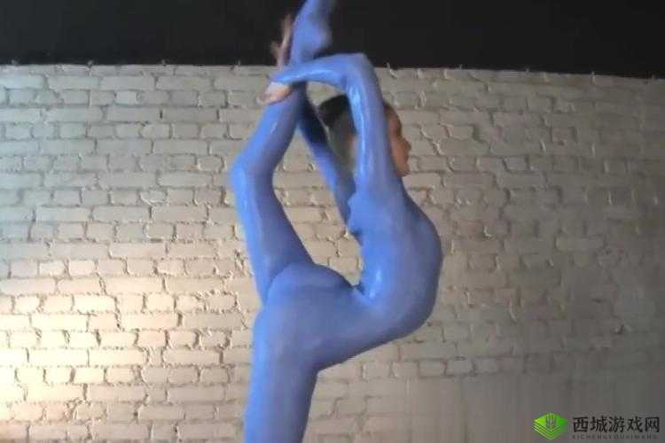 极品ⅴideossex 少妇杂技:挑战极限的表演