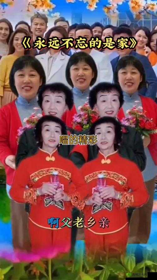 天天综合天天综合:精彩不断的综合呈现