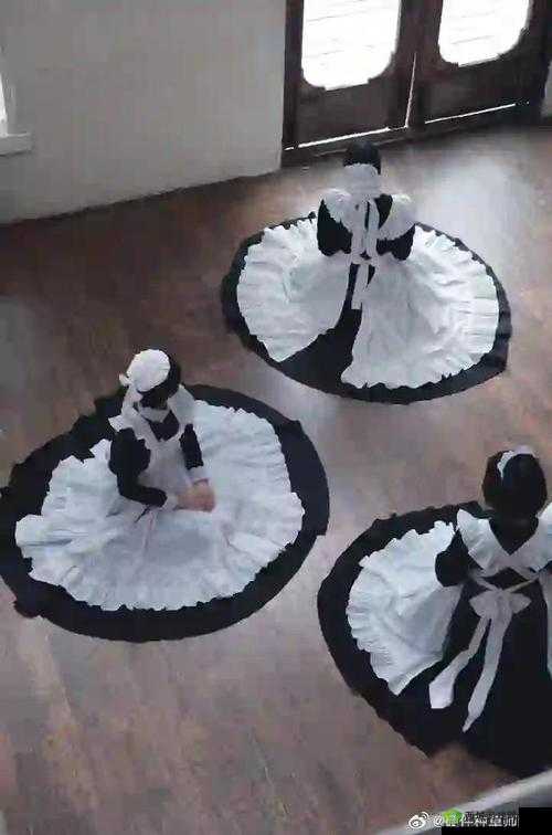 纯情女仆坏少爷:女仆品质详细介绍