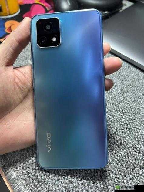 成色好的 y31s 标准：品质卓越