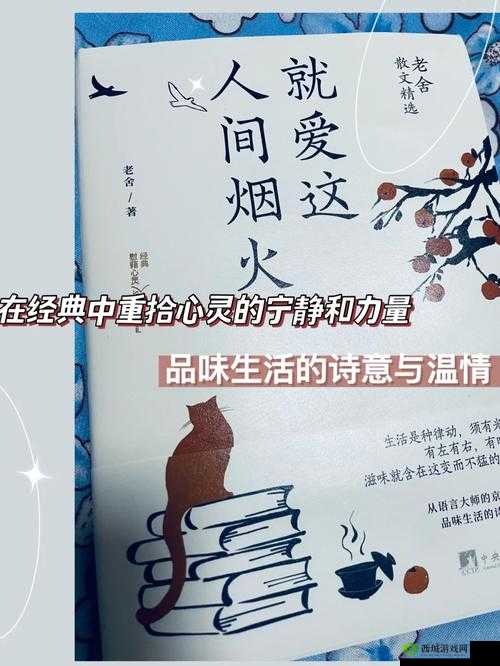 久久丫忘忧草产品:带来美味与心灵的慰藉