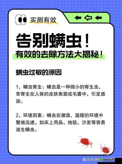 螨虫,生活中的微小威胁与应对策略