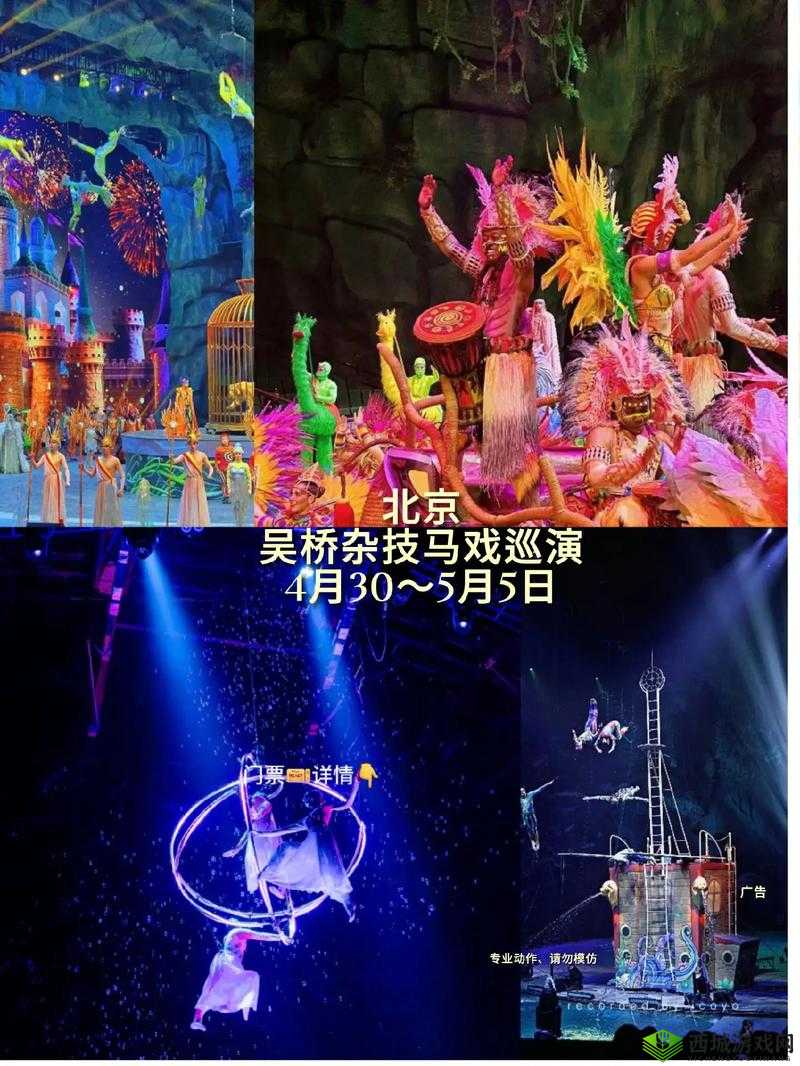 A级提视频 :呈现精彩绝伦的视觉盛宴之旅
