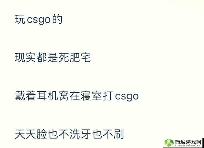 老阿姨在CSGO中的经典比赛:令人惊叹的精彩瞬间与策略分析