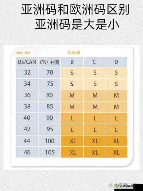亚洲尺码、欧洲尺码适用场景大不同:你需要知道的尺寸秘密