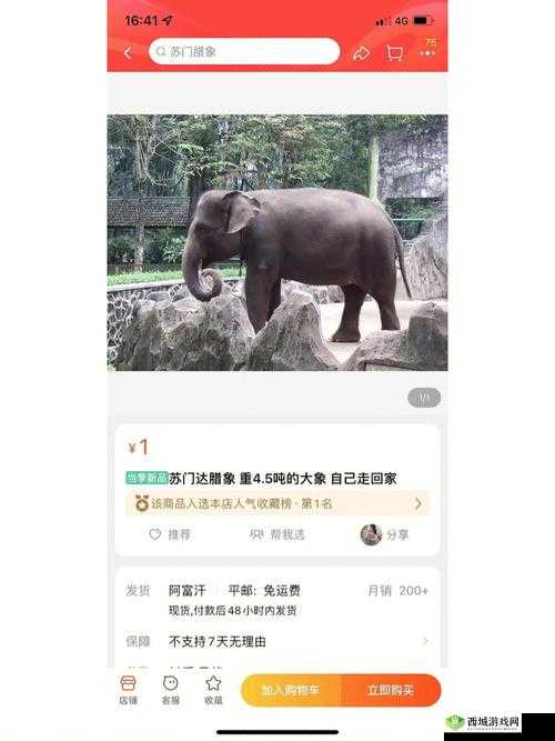 大象回家视频永不迷路 2024 蘑菇:一次奇妙的回家之旅
