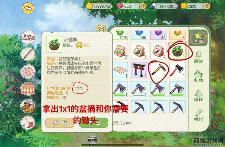 小森生活，探索与收获的自然乐章