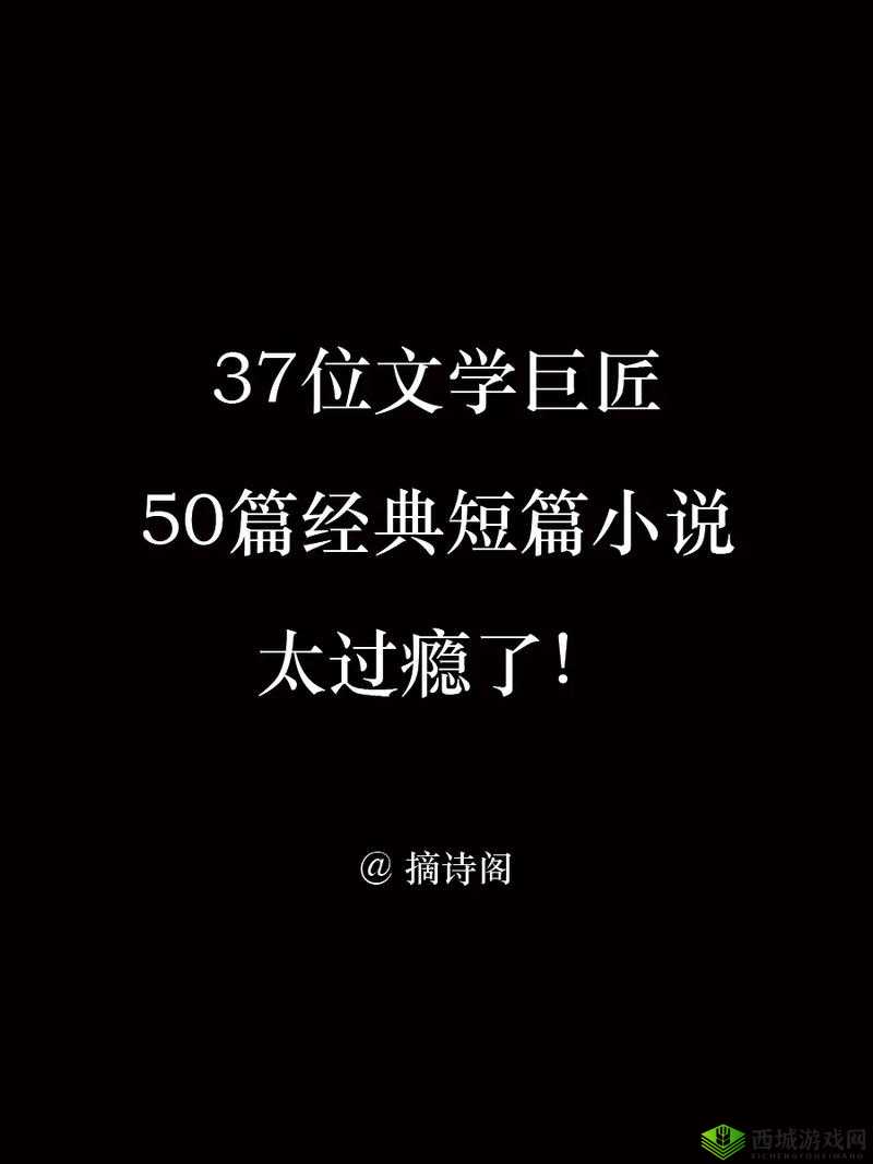 成品网站W灬源码1688小说:带你走进精彩文学世界