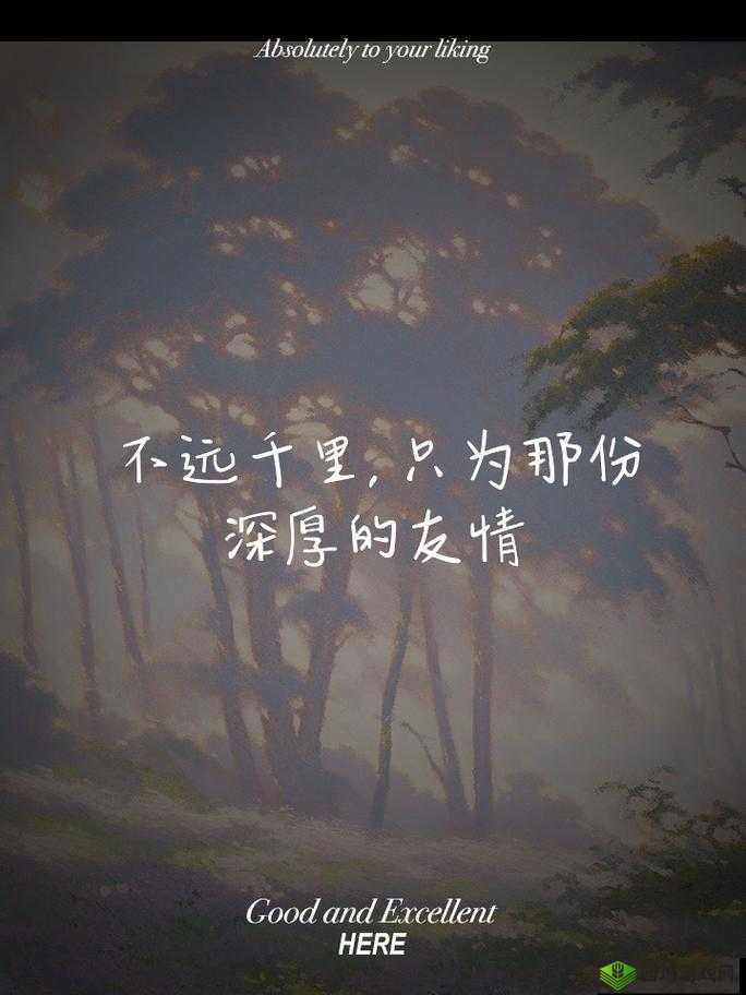 三个人黑白配:一场考验友情与智慧的独特对决