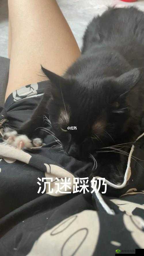 嗟嗟嗟-好痛:那无法言说的锥心之痛