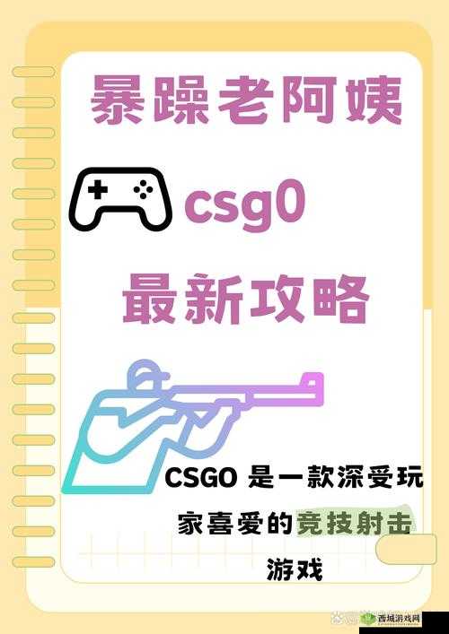 老阿姨在 CSGO 中冲锋陷阵,以精湛枪法和战术意识赢得队友赞誉
