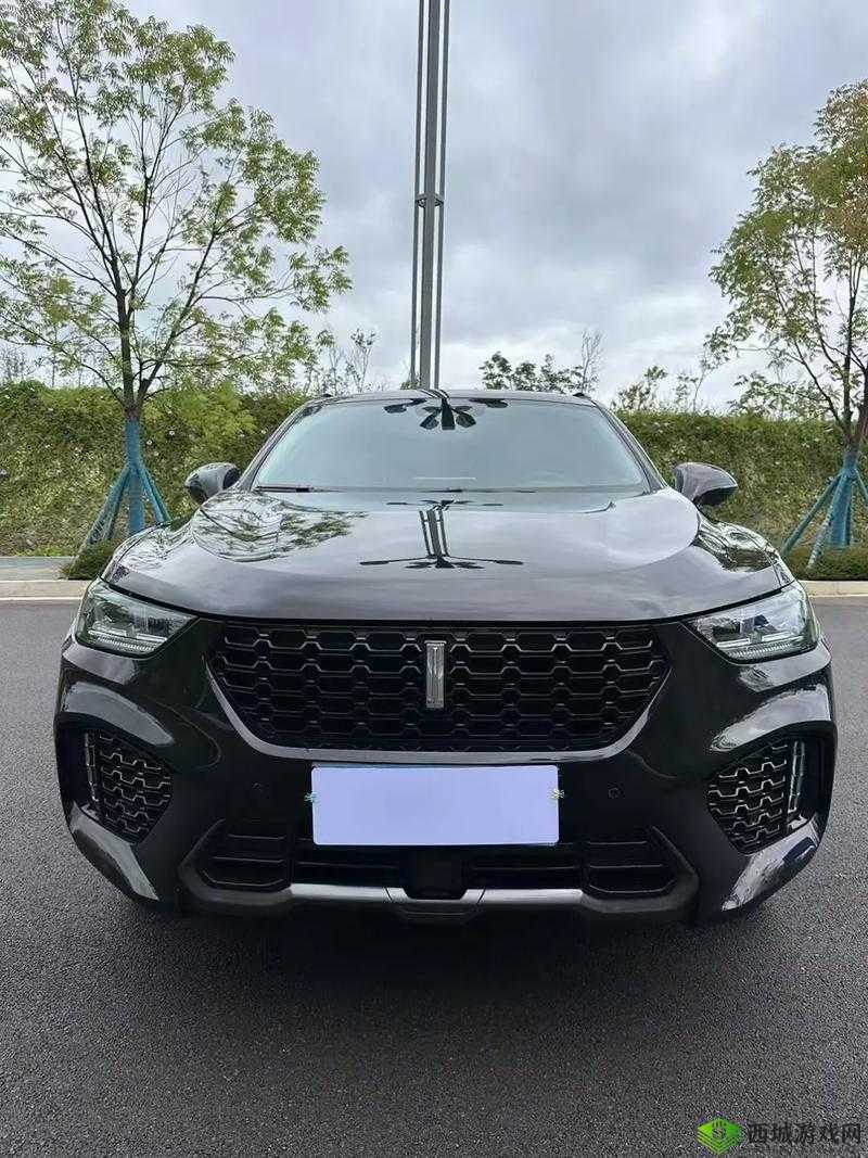 weyvv5 国产的 suv 免费:畅享高品质汽车生活无需付费