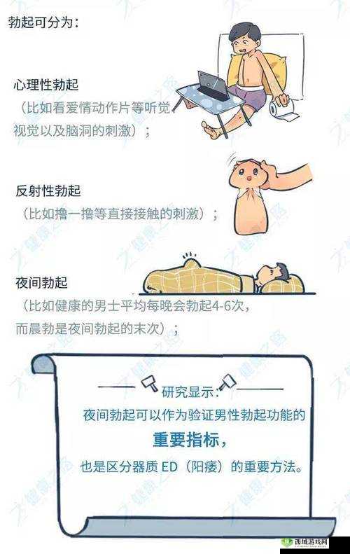 小🐔🐔伸进🈲🔞🔞91:揭秘网络热门话题背后的真相与影响