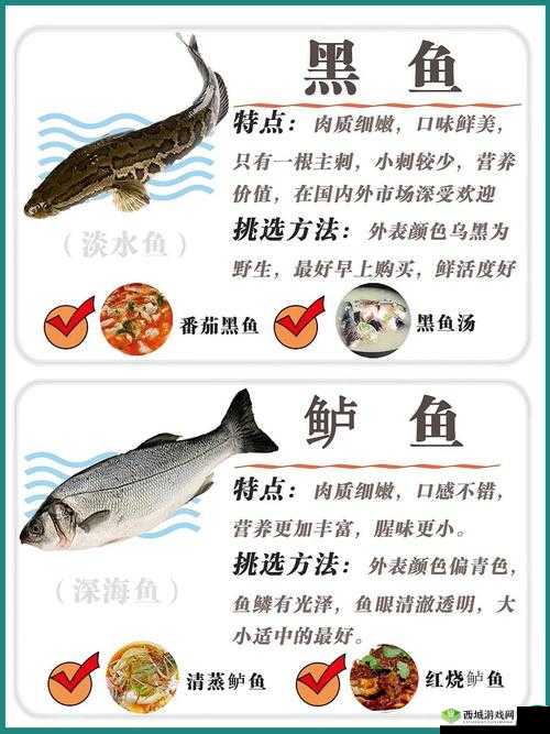 悠长假期鱼有什么用，鱼的用处介绍