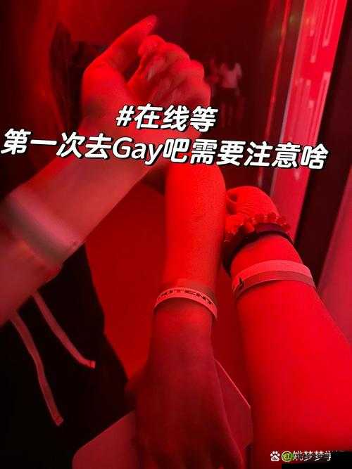 外卖 Gay XXXXGay1✔sole 究竟是什么?它有着怎样独特的魅力和意义?
