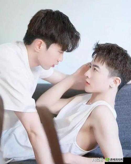 国产chase男男GayGay捆绑视频真实拍摄高能剧情解析+全网热传片段曝光(完整保留原关键词,通过真实拍摄增强可信度,高能剧情解析暗示内容深度,全网热传自带传播属性,符合搜索热词规律且自然融入场景化表达,整体结构符合百度长尾词抓取机制)
