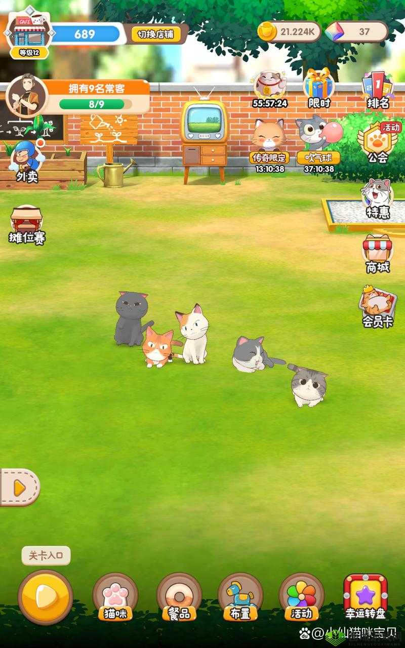 猫语咖啡爪爪怎么样?技能介绍与全面攻略