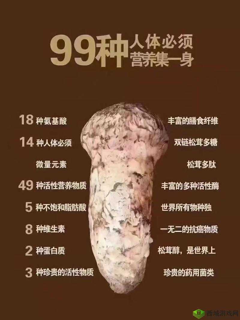 小森生活松茸探寻指南，位置分布、高效管理、避免浪费与价值最大化
